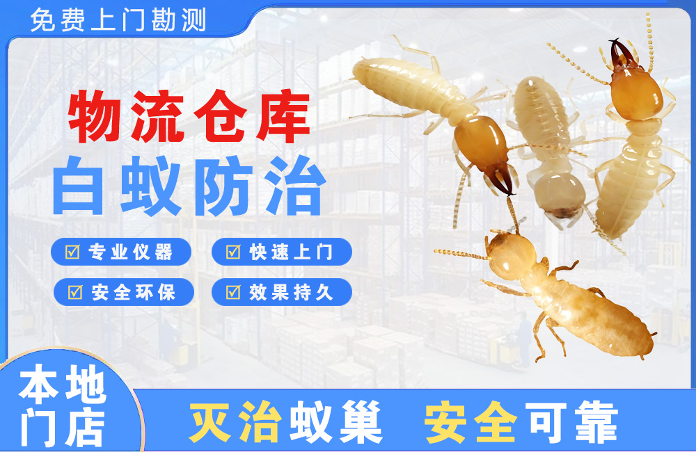 平阳物流仓库白蚁防治