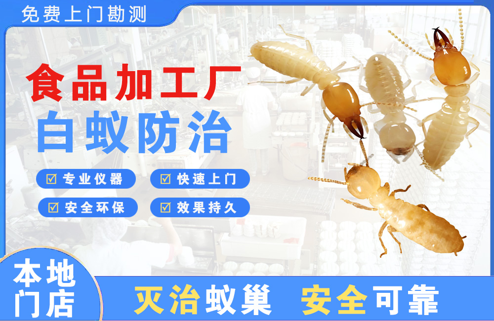 平阳食品加工厂白蚁防治
