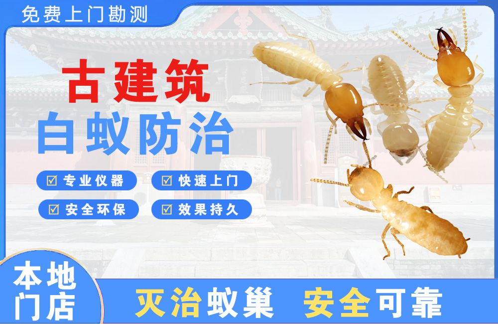 平阳古建筑白蚁防治