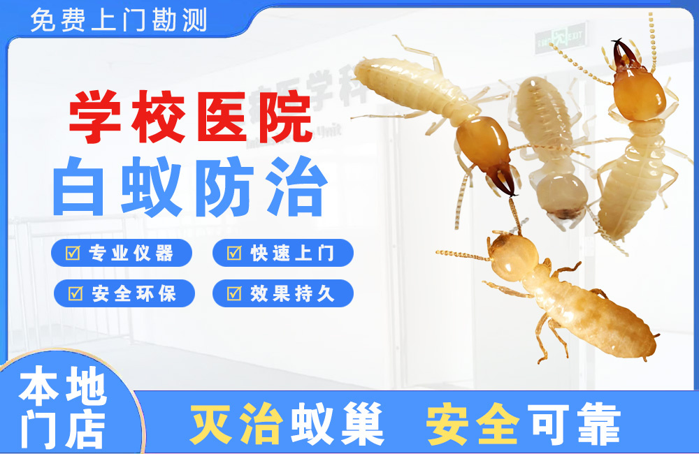 平阳学校医院白蚁防治