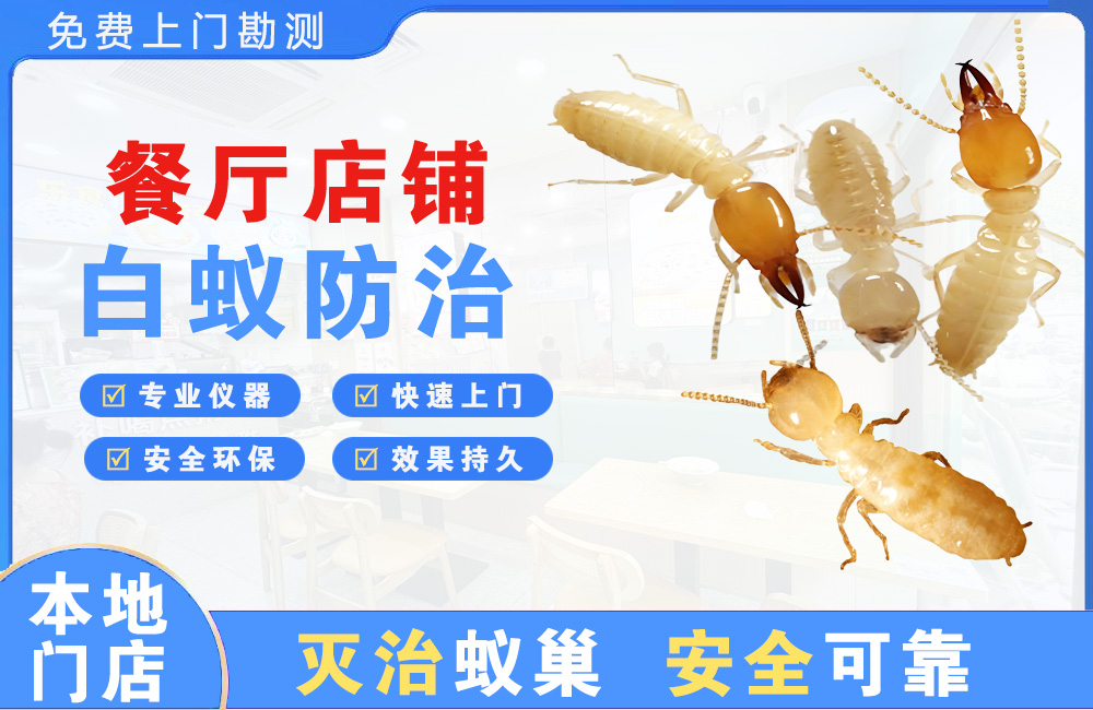 平阳餐厅店铺白蚁防治